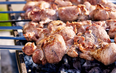 Barbecue skewers with meat