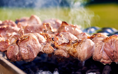 Barbecue skewers with meat