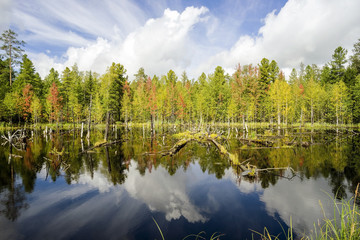 Early autumn. Landscape with reflection in the water.