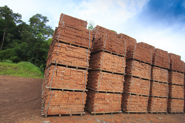 Timber stacked in Borneo, Malaysia. Deforestation environmental damage