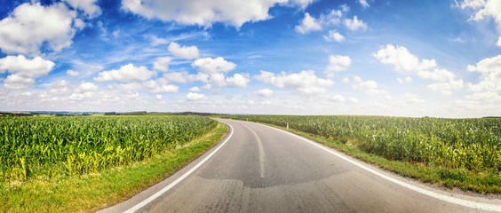 Panoramic landscape with country road and corn fields