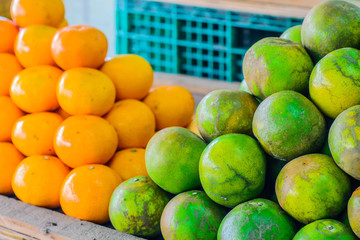 Many Tangerine with Many Orange On Table, selective focus point.