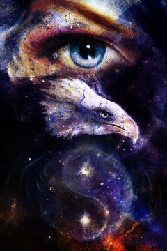 painting eagle  woman eye in space with stars.  yin yang 