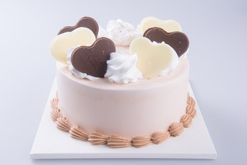 cake. chocolate ice cream cake on background