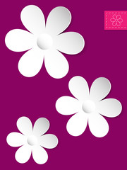 paper flower card pink
