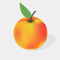 beautiful  apple