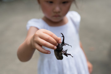カブトムシを持つ子供