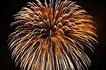 Tokyo Bay Grand Fireworks Festival