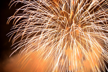 Tokyo Bay Grand Fireworks Festival
