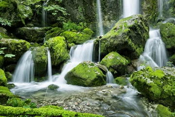Foto op Plexiglas Waterval in het bos © Mny-Jhee