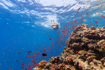 Fototapeta na wymiar Freediver woman exploring coral