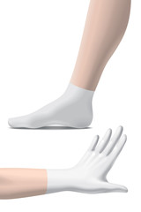 Glove and sock illustration