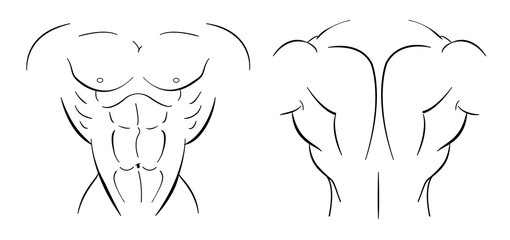 Bodybuilder torso line-art illustration isolated on white