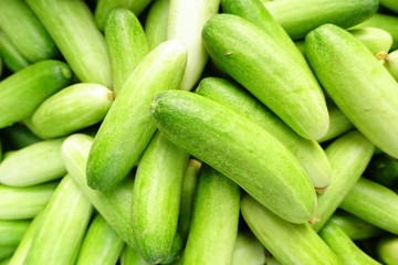 cucumber