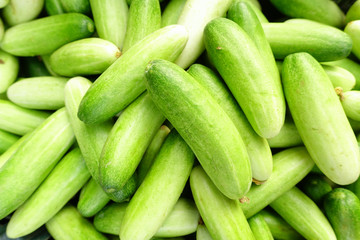 cucumber