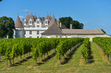 Fototapeta na wymiar Castle Montbazillac-Vineyard of Bergerac-Dordogne-France