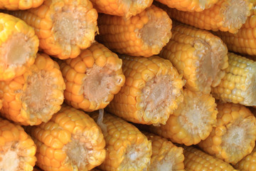 sweet corn background