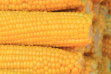 sweet corn background