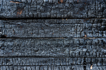 Charred wood