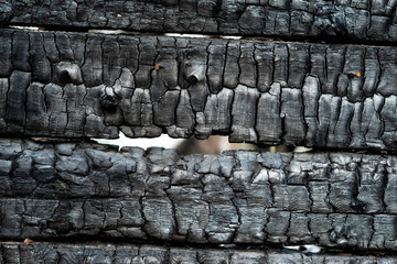 Charred wood