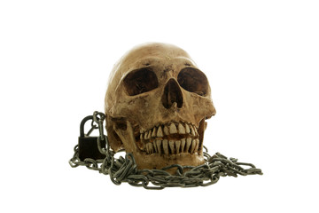 Skull and old apple on a White background