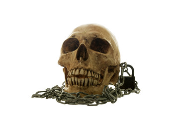 Skull and old apple on a White background