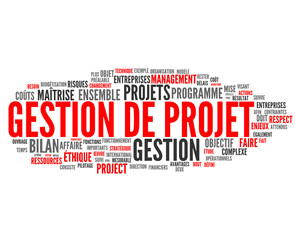 gestion de projet (management, innovation)