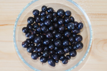 black currant