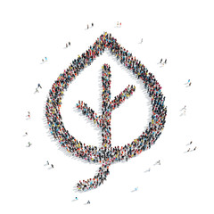 group  people  shape  leaf ecology