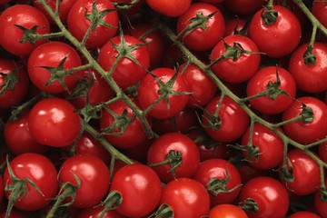 vine tomato background