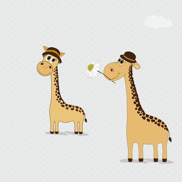 Two cute giraffes hats