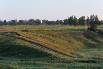 Green hills with small trees in summer sunrise