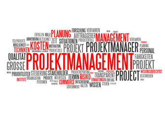 Projektmanagement (Innovation, Planung)