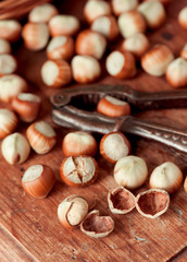 Cracking hazelnuts on wooden table closeup. Organic food, Healthy eating. 