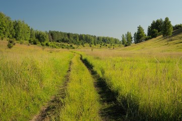 Naklejka premium Abandoned country road in green grass with trees far away and bl