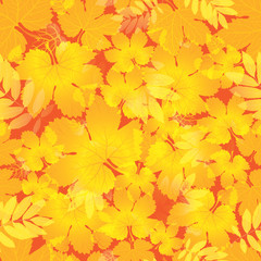 Fototapeta na wymiar pattern with leafs