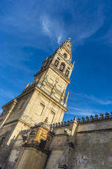 Obraz premium Mosque Cathedral of Cordoba in Andalusia, Spain