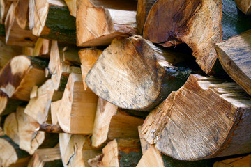 Beech firewood