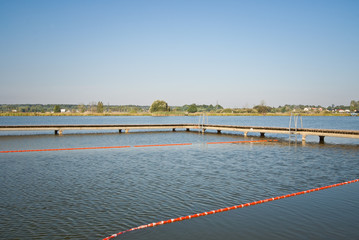 nad jeziorem © Mariusz Stoszewski