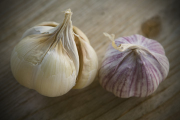 garlic on background