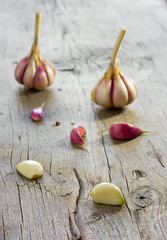 Fototapeta na wymiar garlic/ bulbs and segments of garlic on an old knotty board with cracks