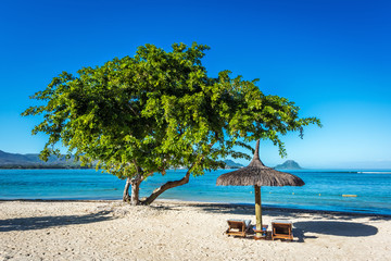 White sand beach with lounge chairs and umbrella in Mauritius Is