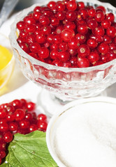 Berries on the table