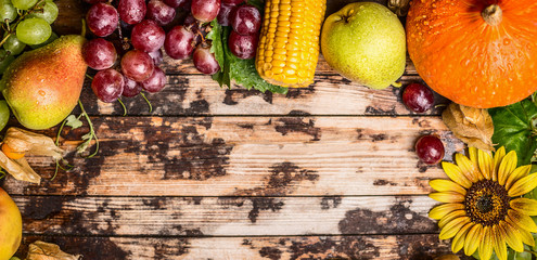 harvest fruits with grapes,pumkin and sunflowers on a rustic wooden background, banner for website