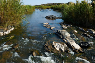 Beautiful river in South Africa