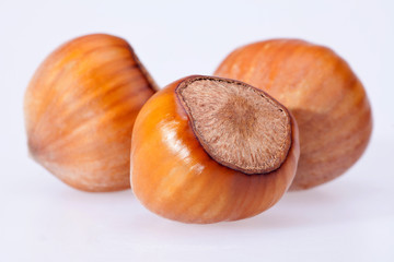 some hazelnuts isolated on white background close up