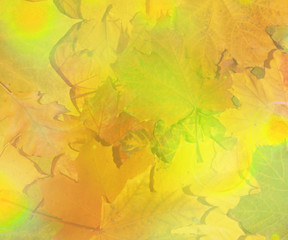 Fallen foliage over old hessian fabric, abstract autumn backgrounds