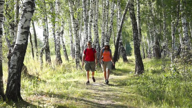 Middle age hikers couple trekking in a birch wood, exploring map