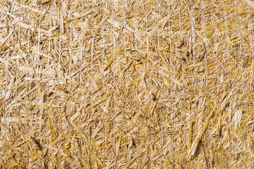 Dry straw macro shot