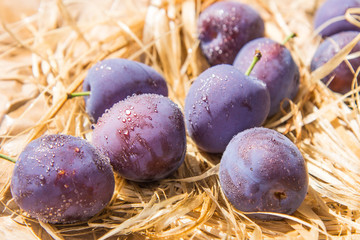 Purple plum drops